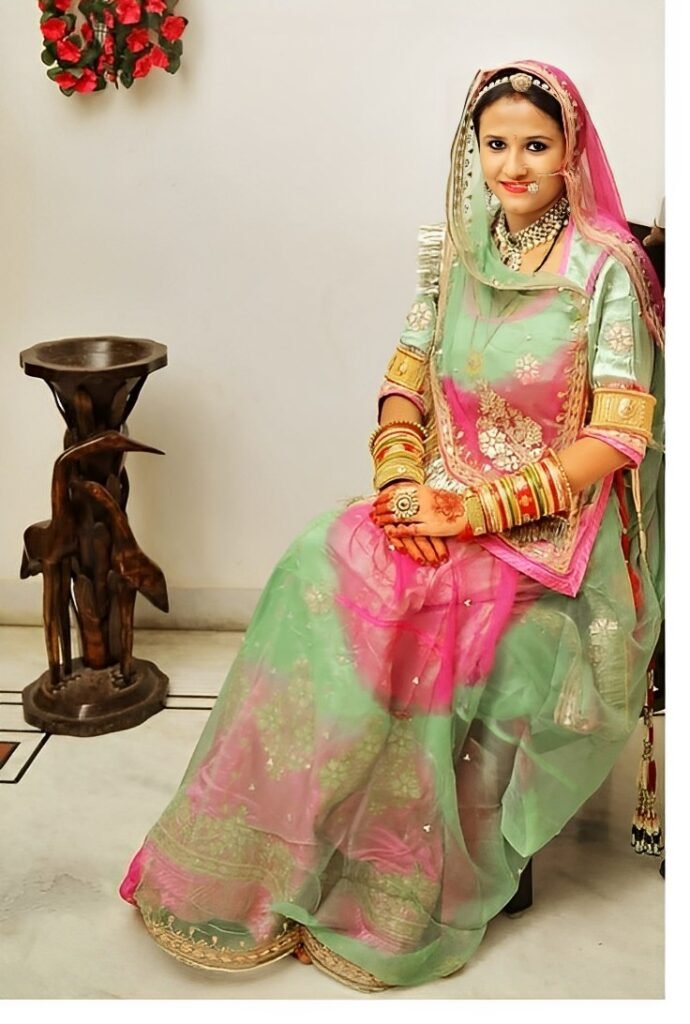 Rajputi Suit Unveiling Royal Elegance. KhammaGhani