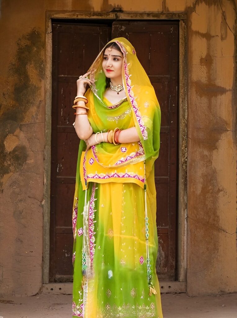 Rajasthani Suit For Ladies